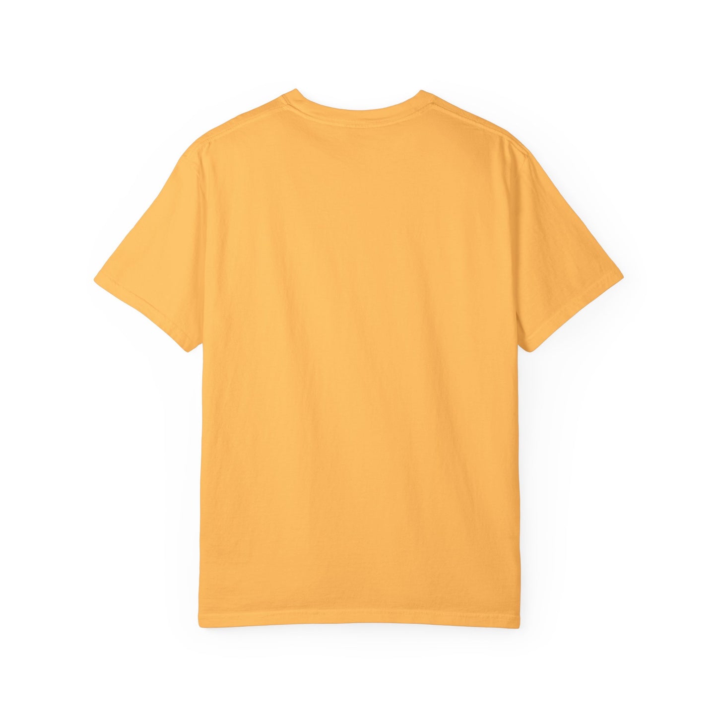 Baseball Fan Unisex T-shirt - Catholic Priest Design